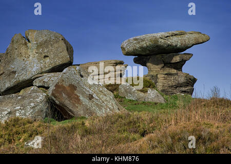 Felsformation bei Brimham Rocks in Summerbridge, Harrogate, North Yorkshire, England, Großbritannien. Stockfoto