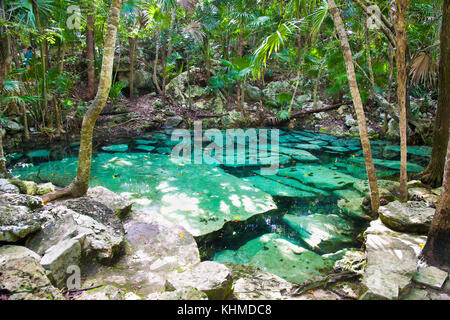 Cenote Azul kleinen See von Maya Dschungel in Yucatan, Mexiko. Stockfoto