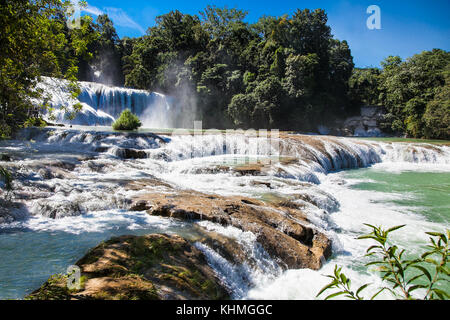 Die hellen Azure Kaskaden von Agua Azul im Bundesstaat Chiapas, in der Nähe von San Cristobal, Mexiko. Stockfoto