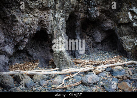 Sehenswürdigkeiten entlang der Strand in einer abgeschiedenen Bucht, Südinsel, Neuseeland: Höhlen in der robusten, vulkanischen Felsen. Stockfoto