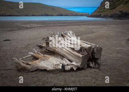 Sehenswürdigkeiten am Strand in einer abgelegenen Bucht, Südinsel, Neuseeland: driftwood. Stockfoto