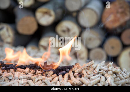 Stapel der Eiche Biomasse pellets in Brand Stockfoto