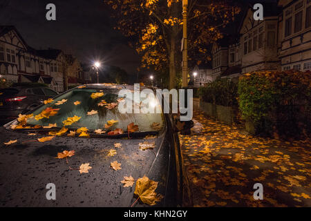 London, Großbritannien. 19 Nov, 2017. Blätter im Herbst und einem geparkten Auto unter Straßenlaternen im Londoner Stadtteil Ealing. foto Datum: Sonntag, 19. November 2017. Quelle: Roger Garfield/alamy leben Nachrichten Stockfoto