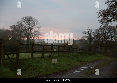 Black Torrington, Großbritannien. 19 Nov, 2017. Sonnenaufgang über Black Torrington in Devon. Credit: Keith Larby/Alamy leben Nachrichten Stockfoto