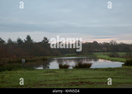 Black Torrington, Großbritannien. 19 Nov, 2017. Sonnenaufgang über Black Torrington in Devon. Credit: Keith Larby/Alamy leben Nachrichten Stockfoto