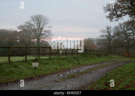 Black Torrington, Großbritannien. 19 Nov, 2017. Sonnenaufgang über Black Torrington in Devon. Credit: Keith Larby/Alamy leben Nachrichten Stockfoto