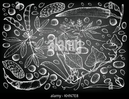 Gemüse, Illustration von Hand gezeichnete Skizze frische podded Gemüse auf schwarzen Tafel. Stock Vektor