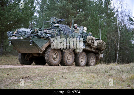 Us-Soldaten mit der 1. Staffel, 2. Reiterregiment bewegen ihre Stryker gepanzertes Fahrzeug während der Übung Allied Geist VII an der 7th Army Training Befehl Hohenfels Training Area, Deutschland, 16. November, 2017. Etwa 4.050 Mitglieder aus 13 Nationen beteiligen sich an der Übung von Okt. 30 bis Nov. 22, 2017. Allied Geist ist ein US-Army Europe, 7 ATC-durchgeführte multinationale Übung Serie zu entwickeln und die NATO und die wichtigsten Partner der Interoperabilität und die Bereitschaft zu verbessern. (U.S. Armee Foto von Gertrud Zach) Stockfoto