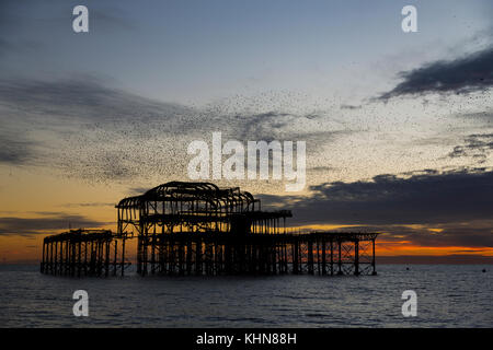 Brighton, UK. Starling murmurations bei Sonnenuntergang über verlassene West Pier von Brighton. Stockfoto