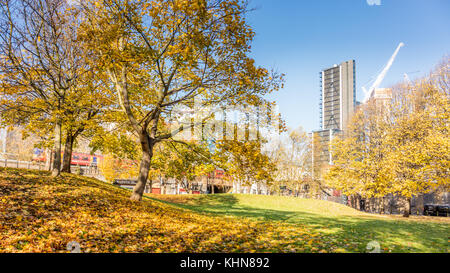 Vauxhall, London; 17. November 2017; Opel Lustgärten, Herbst. Gelbe und braune Blätter an den Bäumen und Masse. Helle wolkenlosen Tag. Stockfoto