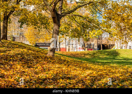 Vauxhall Pleasure Gardens, London; 17. November 2017; Baum mit Herbst bunte Blätter am Baum und Boden. Stockfoto