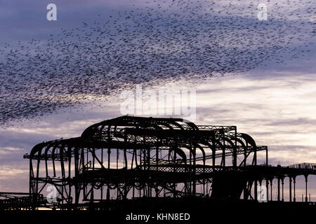 Brighton, UK. Starling murmurations bei Sonnenuntergang über der verlassenen Brighton West Pier gegen lila Himmel bei Sonnenuntergang. Stockfoto