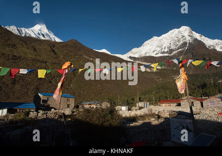 Manaslu und die 8 höchsten Gipfel der Welt (8,163 m), steigt von Samagaon Dorf auf den Manaslu Circuit Trail, Nepal Stockfoto