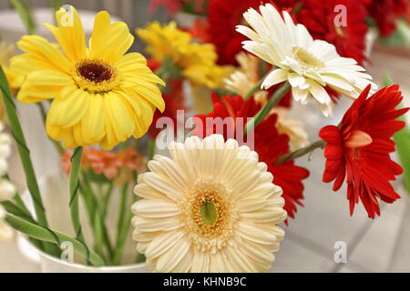 Strauß Chrysanthemen Stockfoto