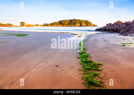 Früh morgens am Strand von Mount Maunganui, Bay of Plenty, Neuseeland. sagte der beste Strand in Neuseeland zu sein Stockfoto