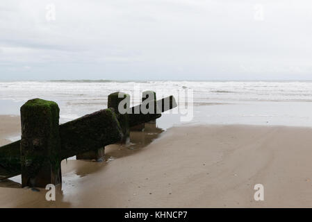 Blick Meer von tywyn Strand mit buhnen mit führenden Linien auf dem Sandstrand in den Vordergrund. Stockfoto