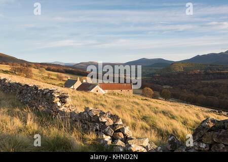 Ein Blick von Unten Glen Feardar Auchtavan im Cairngorms Nationalpark Stockfoto