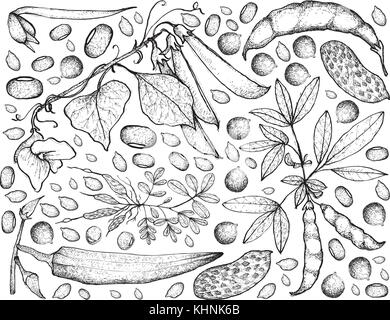 Gemüse, Hintergrund Muster von Hand gezeichnete Skizze frische podded Gemüse auf Weiß isoliert. Stock Vektor