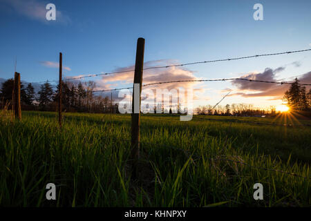 Wunderschöne Landschaft Blick auf den Bauernhof Feld hinter der Barb wired Zaun. Während ein bewölkter Sonnenuntergang in Surrey, Greater Vancouver, British Columbia, c Stockfoto