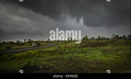 Asiatische tropischer Wald, Wald, Gesträuch, Gras, Indonesien, Bali Stockfoto