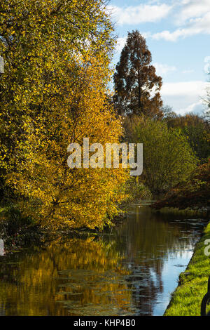 Hobson die Conduit oder Vikar von Bach, ist ein wasserlauf von 1610 gebaut 1614 von Thomas Hobson frisches Wasser Stadt Cambridge, England, UK zu holen. Stockfoto