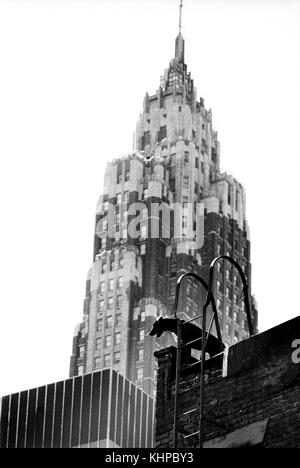 AJAXNETPHOTO. Juli, 1975. NEW YORK CITY, USA. - TOP DOG - BLICKT AUF Lower Manhattan in der Nähe von South Street. Das AMERICAN INTERNATIONAL BUILDING, jetzt 70 Pine Street, erbaut in den frühen 1930er Jahren, Türme über der Szene. Foto: Jonathan Eastland/AJAX REF: 7507 30 Stockfoto