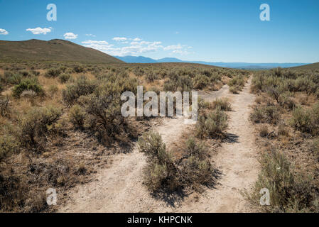 Wagon Spurrinnen auf der nationalen historischen Oregon Trail Interpretive Centre in Flagstaff Hill in der Nähe von Baker City, Oregon. Stockfoto