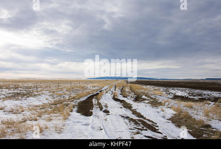Eine verschneite, ausgefahrenen Feldweg führt zu den Snowy Mountains im Hintergrund. in Montana in natürlichem Licht fotografiert. Stockfoto