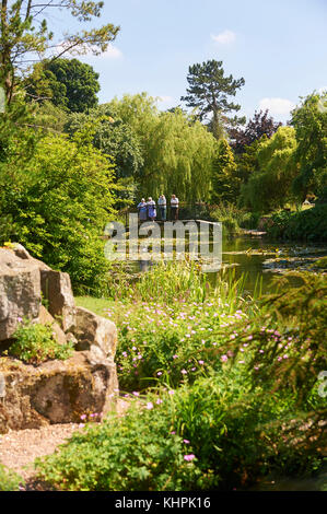 Besucher auf Steg und Seerosen auf Garten See bei burnby Hall Gardens, East Riding von Yorkshire, Großbritannien Stockfoto