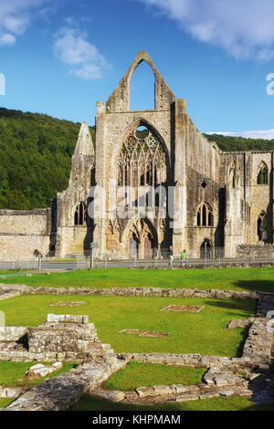 Tintern Abbey, Monmouthshire, Wales, Vereinigtes Königreich. Die Abtei wurde 1131 gegründet. Stockfoto