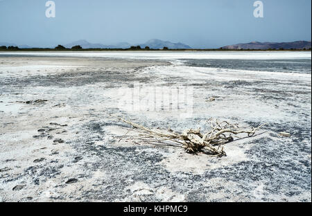 Salz auf der Unterseite des salt lake Alykes auf der Insel Kos in Griechenland Stockfoto