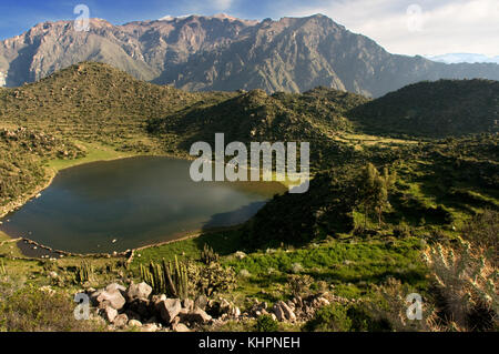 Landschaft des peruanischen Hochplateaus in der Nähe des Colca Canyons auf der Route, die zum Cruz del Cóndor führt. Cruz del Condor, Aussichtspunkt Stockfoto