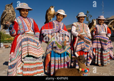 Yanke, eine der kleinen Städte im Colca Valley, wo die Verkäufer den Verkauf beleben, indem sie sich mit ihren Adlern, Eulen und Lamas fotografieren. Stockfoto