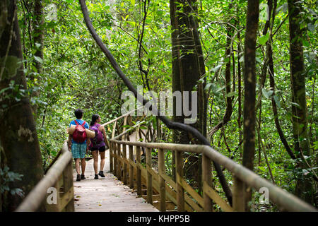 Reisegruppen in Manuel Antonio National Park, Costa Rica, Mittelamerika. Touristen versammeln sich um eine Anleitung werfen Sie einen Blick auf die Tierwelt am Manue zu erhalten Stockfoto