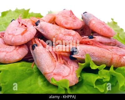 Garnelen auf salatblättern vor weißem Hintergrund Stockfoto