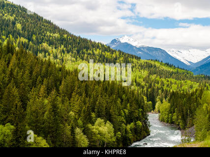 Mountain River in den bunten Wald von British Columbia - Kanada Stockfoto