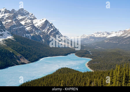 Feder Luftaufnahme des Peyto Lake, Banff National Park, Kanada Stockfoto