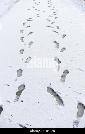 Spuren im frischen Schnee Stockfoto