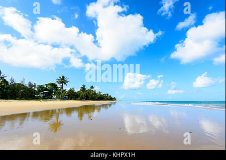 Von Palmen gesäumten Sandstrand von South Mission Beach auf der Coral Sea, Far North Queensland, FNQ, Australien verlassen Stockfoto