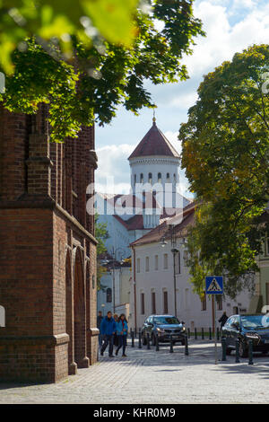 Kathedrale der Theotokos in Vilnius, Litauen Stockfoto