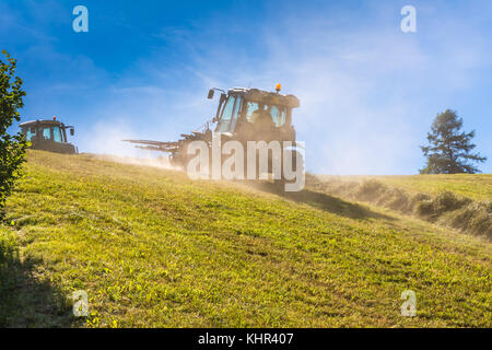 Heuernte auf einem Hügel mit Reihen von Heu, Heu heuwender und ein Heu-Lader Stockfoto