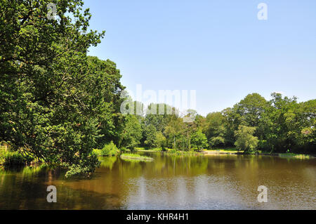 Hiltingbury Lakes und schwimmende Inseln auf Chandlers Ford, Eastleigh, Hampshire, England. Stockfoto