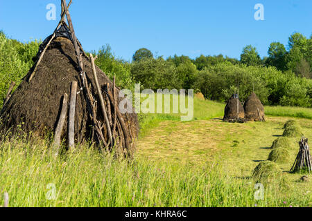 Diese Szene ist in den Karpaten in Maramures in Rumänien Stockfoto