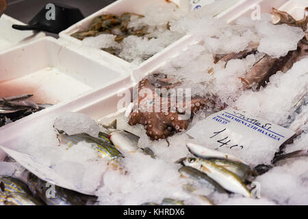 Frisch Octopus und Meeresfrüchte auf Eis für den Verkauf in der griechischen Fischmarkt gefangen Stockfoto