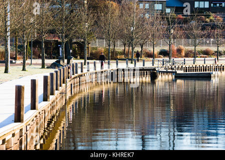 Vaxjo, Schweden - 13. November 2017: Dokumentation des Alltags und der Umwelt. Uferpromenade am See am sonnigen Herbstmorgen mit einer dünnen Schicht Rauschtier Stockfoto