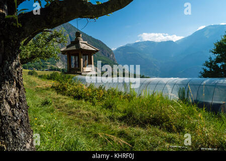 Vogel Haus heraus hängen einen Baum im Saint Jean de Maurienne Tal in Frankreich Stockfoto