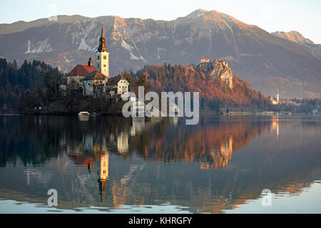 Blick auf den See von Bled und die Kirche der Maria, der Königin, befindet sich auf einer kleinen Insel in der Mitte des Sees, Bled, Slowenien Stockfoto