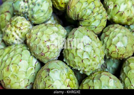 In der Nähe von Cherimoya (ANONA) Frucht in Funchal, Madeira Stockfoto