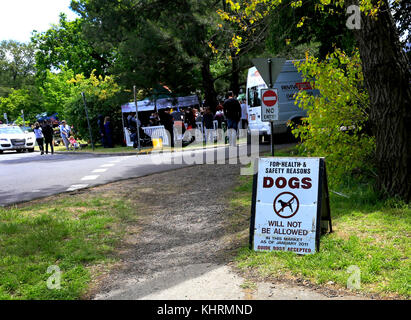 Hunde signage Stockfoto