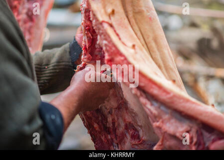 Metzger schneidet das Schwein Karkasse durch Messer, retro Effekt, der westlichen Ukraine Stockfoto